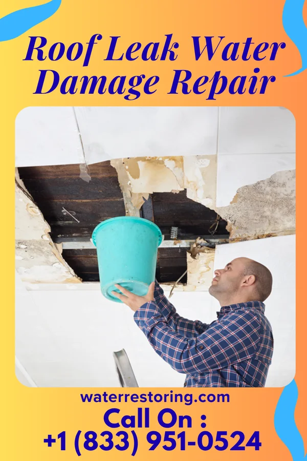 Roof Leak Water Damage Repair in Walker, MN