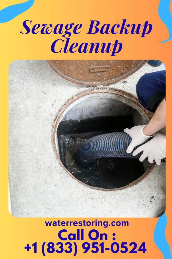 Sewage Backup Cleanup in Walker, MN