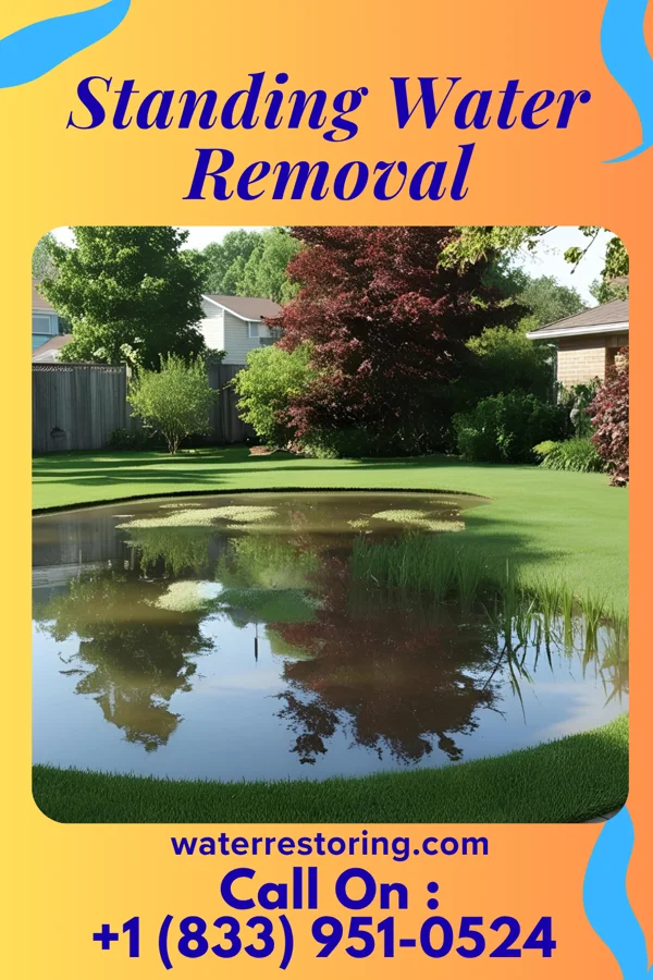 Standing Water Removal in Walker, MN